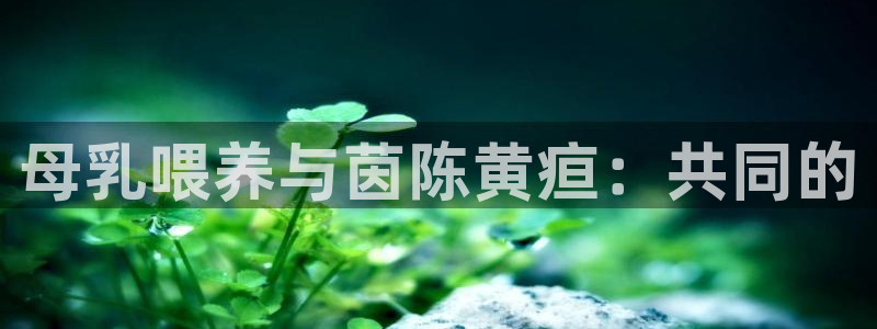 天辰娱乐指定