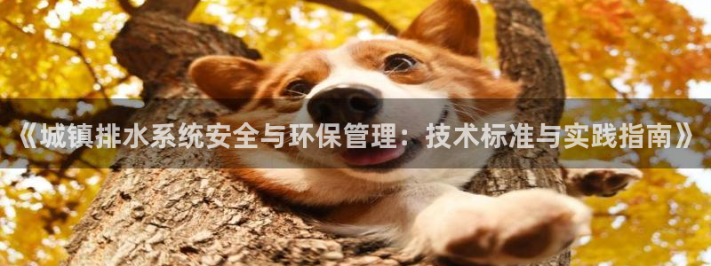 天辰娱乐电话