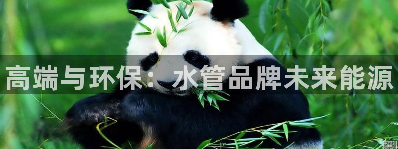 天辰 娱乐 注册