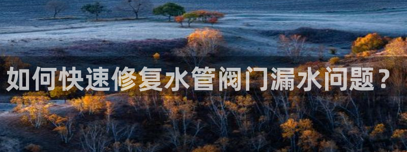 天辰娱乐娱乐