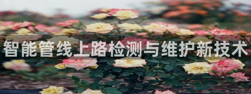 天辰娱乐指定