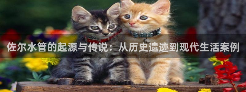 天辰娱乐集团