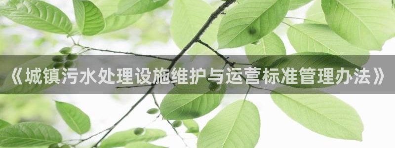 天辰娱乐卡