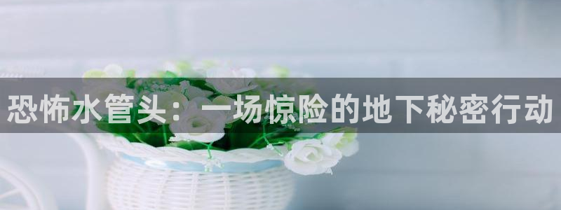 天辰彩票娱乐