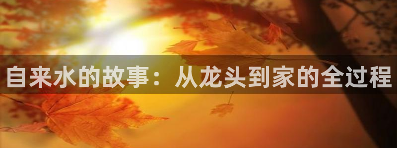 辰天娱乐