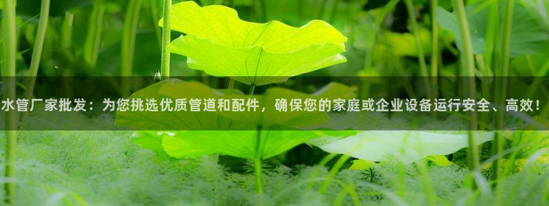 辰天娱乐