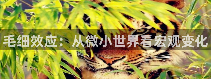 天辰娱乐论坛