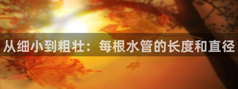 天辰娱乐平台娱乐注册