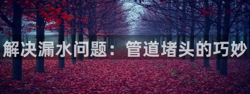 天辰娱乐 18113