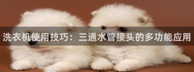 天辰彩票娱乐