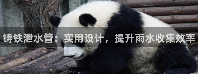 天辰娱乐招商