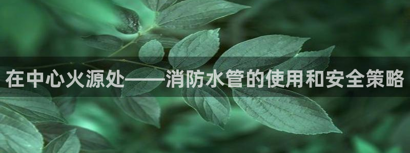 天富天辰娱乐