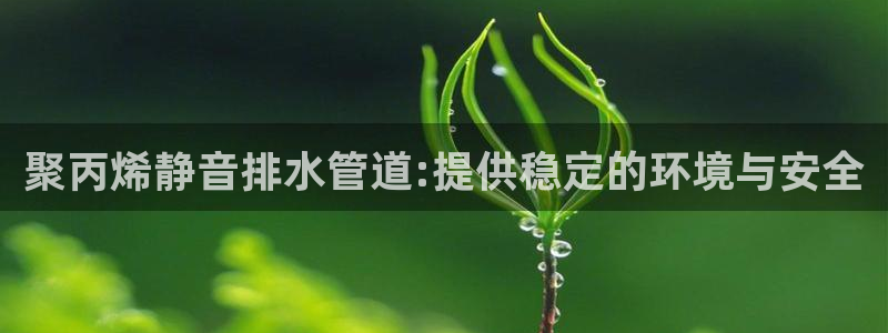 天辰娱乐 主管