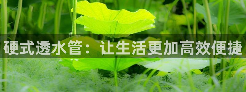 天辰娱乐平台安全吗