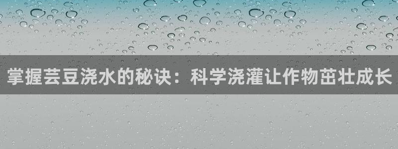 nba天辰娱乐