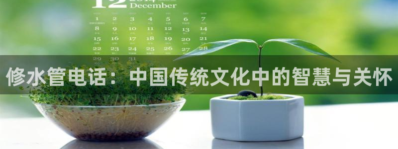 天辰娱乐海洋