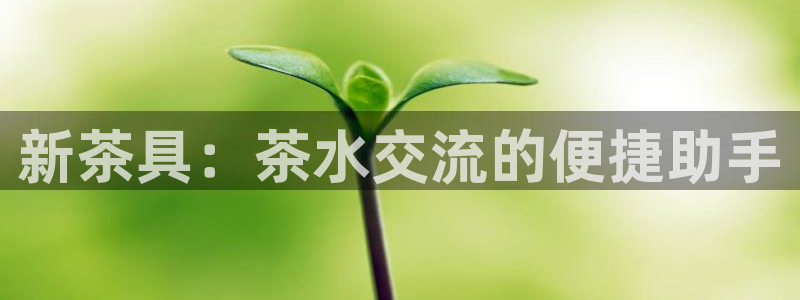天辰娱乐开户
