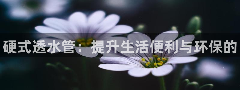 天辰娱乐线路