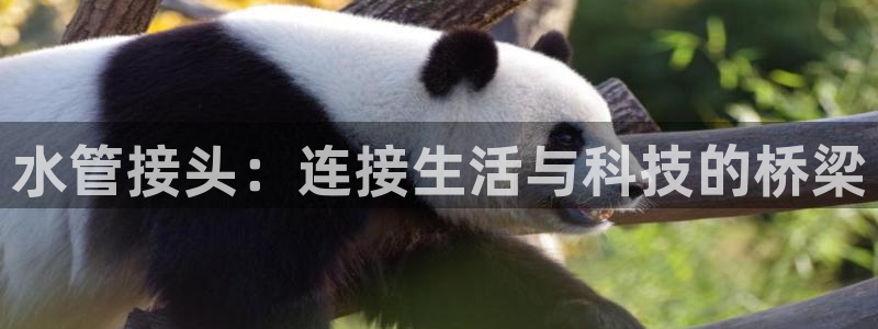 天辰娱乐天辰宝