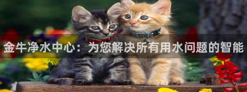 天辰娱乐官方登录入口