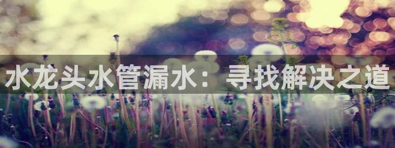 天辰娱乐游戏平台怎么样