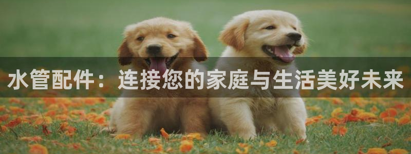 天辰娱乐官方