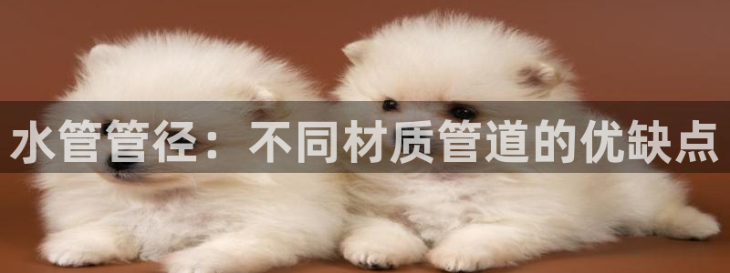 天辰娱乐主管
