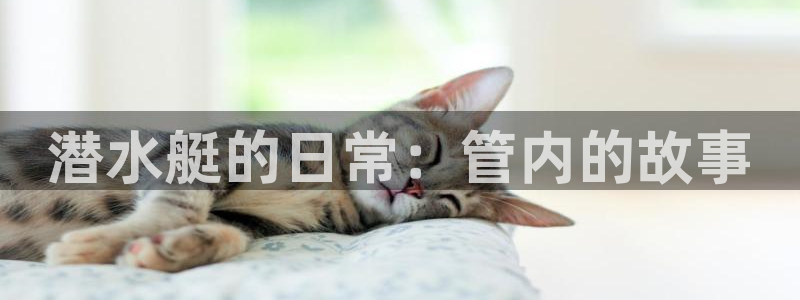 天辰娱乐白屏