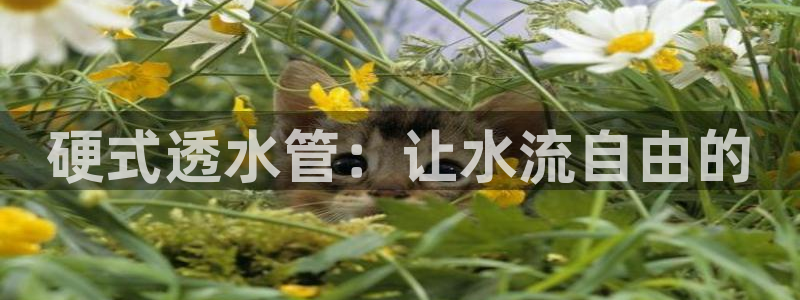 天辰娱乐ttf