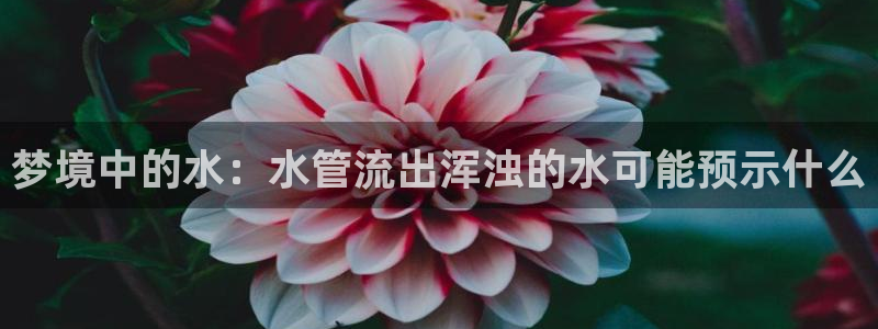 天辰娱乐官网平台入口